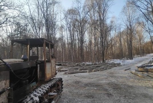 В Вяземском районе сотрудники полиции задержали подозреваемого в  незаконной рубке лесных насаждений